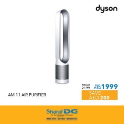 Dyson cleaner