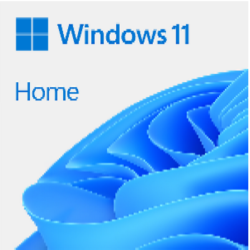 Windows_11_Home,_OEI_DVD_64Bit_best_offer_in_Dubai