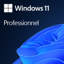 Windows_11_Pro,_OEI_DVD_64Bit_best_offer_in_Dubai